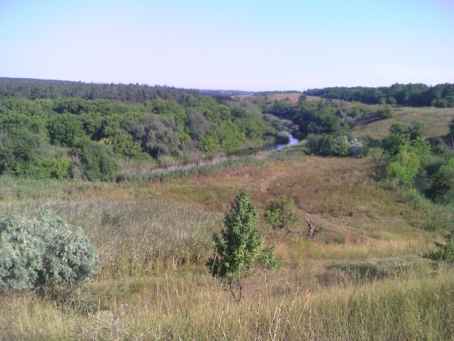 PIC103.jpg