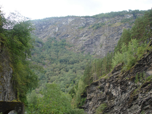 DSC05426.jpg