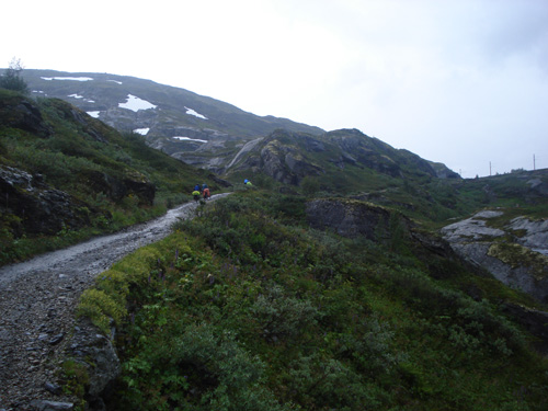 DSC05469.jpg