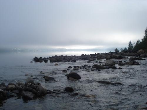 DSC05787.jpg