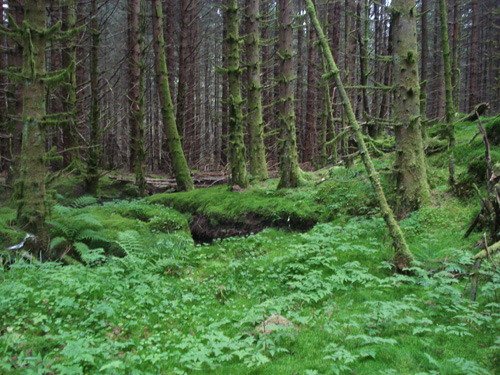 DSC05936.jpg