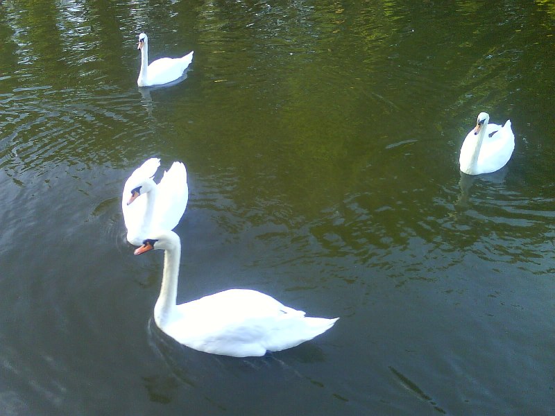 DSC00222.JPG